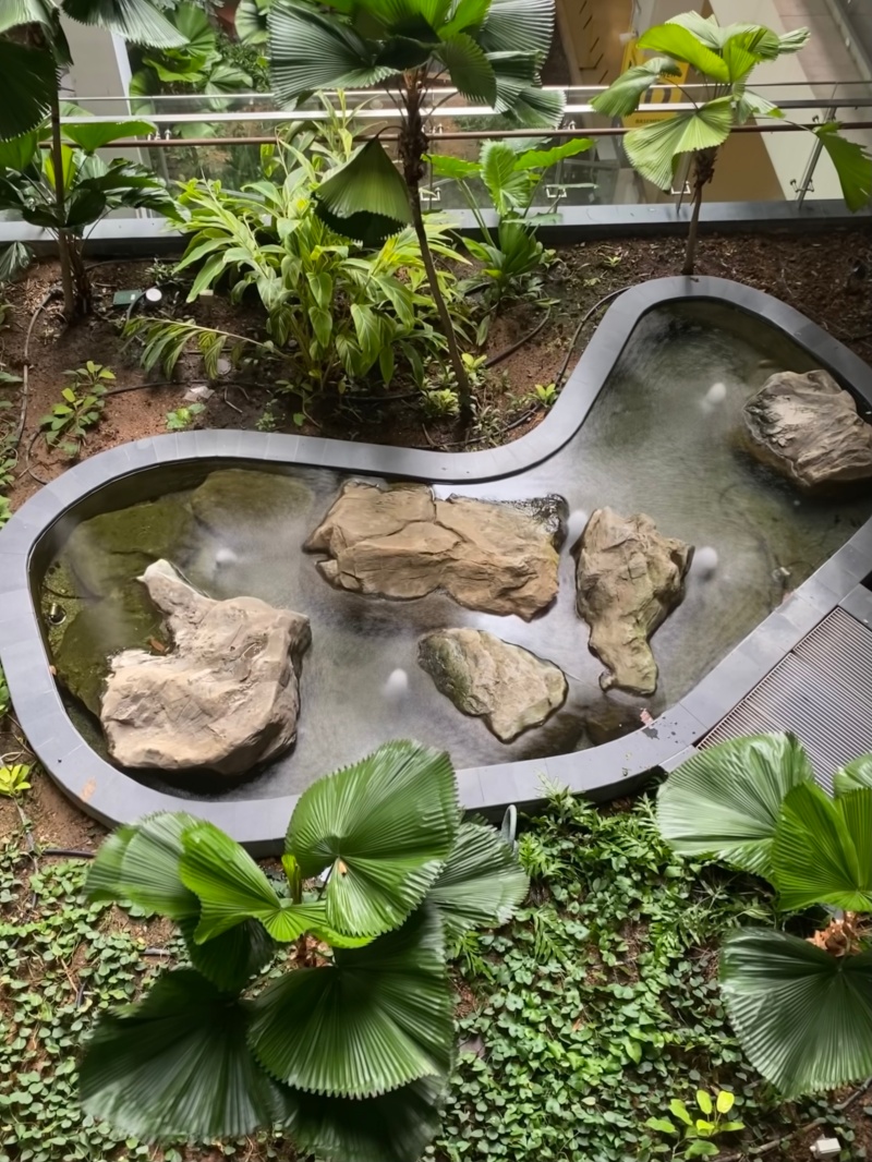 fish pond within the condo 